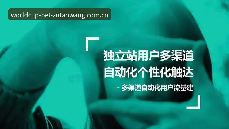 足坛网投注平台 资深用户分享:世界杯前夕的签证困局与观赛新选择,买球平台体验心得